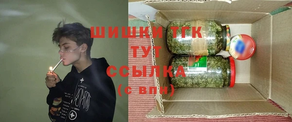 гидра Богородск