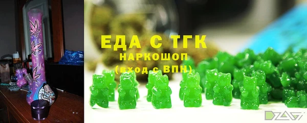 гидра Богородск