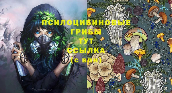 гидра Богородск