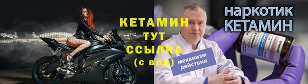 гидра Богородск