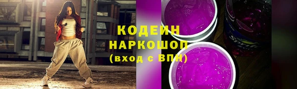 гидра Богородск