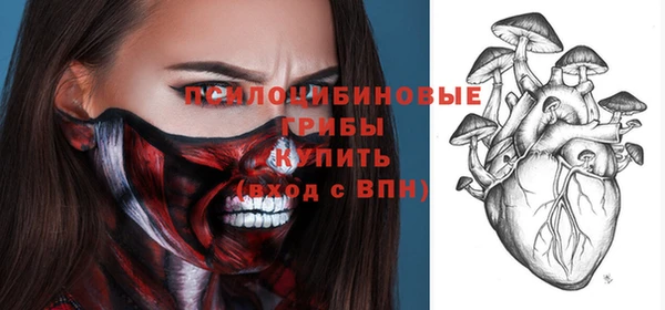 гидра Богородск