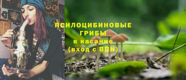 бутират Богданович