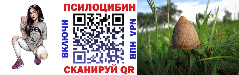 даркнет сайт  гидра ссылка  Псилоцибиновые грибы Psilocybe  Краснозаводск 